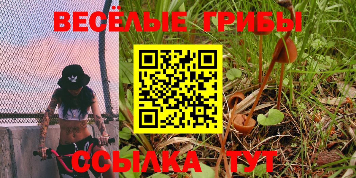 Лянтор  Галлюциногенные грибы Psilocybine cubensis  Вход с VPN  Псилоцибиновые грибы Cubensis 
